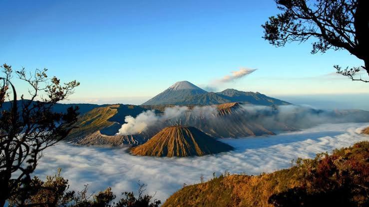 Gigafa Homestay Probolinggo Exterior foto